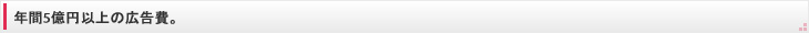 年間5億円以上の広告費。